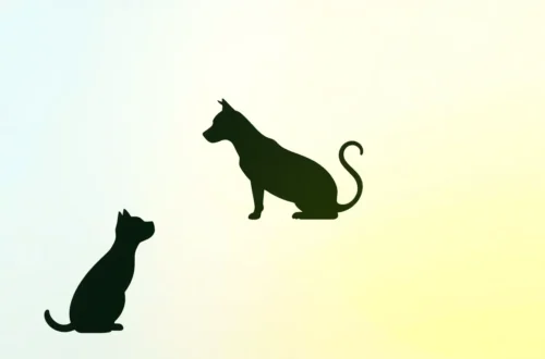 2025년 동물 학대 처벌 강화! AI 신고 및 간접 학대 처벌 도입 8 example 155