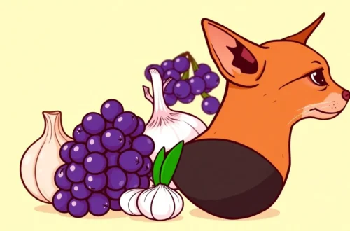 2025년 강아지 고양이에게 치명적인 음식: 반려견과 반려묘 섭취 금지 리스트 53 example 76