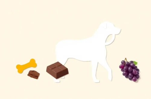 강아지 뼈, 초콜릿, 포도 독성 성분별 대처법 7 example 51
