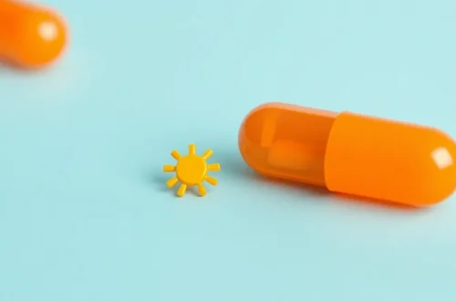 치와와 관절 비타민D, 햇빛 산책 필수 8 example 172