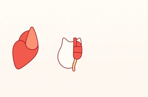 강아지 고양이 만성 질환 조기 증상 30 example 3