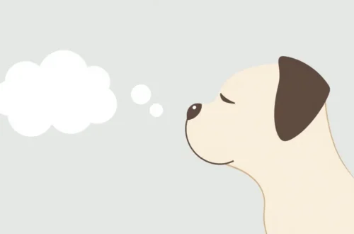 반려동물 코골이, 단두종·비만 관리 필수! 15 example 17