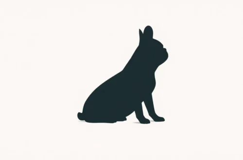 프렌치불독 짖음 훈련: 3단계 진정 23 example 172