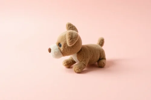 느린 놀이로 똑똑한 시츄 만들기 9 example 198