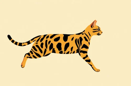 뱅갈 고양이 야생성 놀이 에너지 전환법 34 example 208