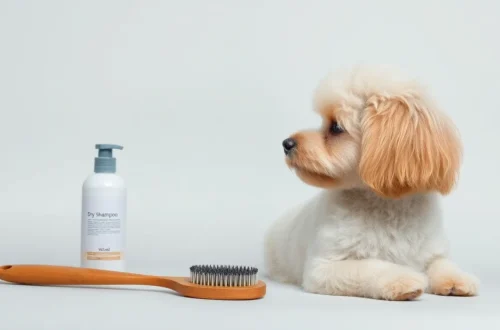 단모 강아지 털 윤기, 건식샴푸+브러싱 비법 7 example 95