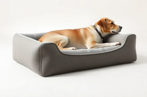 노견 관절염 통증 줄여주는 정형외과 침대 7 example 205