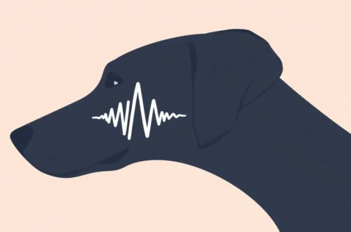 강아지 짖음, 불안 vs 공격성 카밍 시그널 구별법 6 example 9