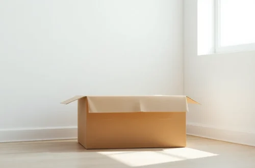 고양이 이사 스트레스 최소화: 고양이 안전 기지 만들기 8 example 143