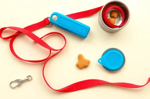 우리 아이 건강 지키는 산책 시 필수품 6 example 219