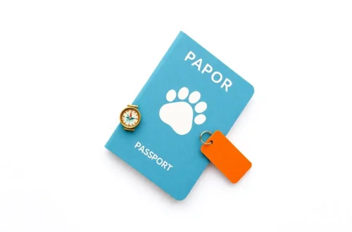 충주 켄싱턴 '펫 패스포트' 보물찾기 & 웰니스 트레킹 6 example 5