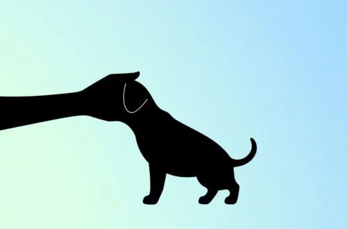 아이 훈육, 왜 때리면 안 될까? 과학적 이유 7 example 65