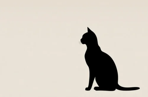 고양이 합사 3-3-3 법칙: 첫 만남 트라우마 극복 6 example 87