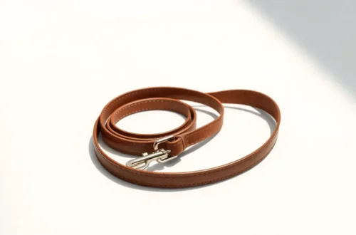 알파독 오해: 강압 대신 신뢰로 강아지 리더십 잡는 법 7 example 89