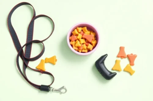 강아지 산책 시 주의사항 완벽 가이드 43 example 59