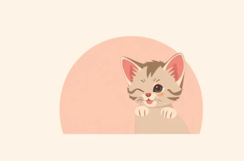 고양이 분양 시 꼭 알아야 할 팁 3 example 63