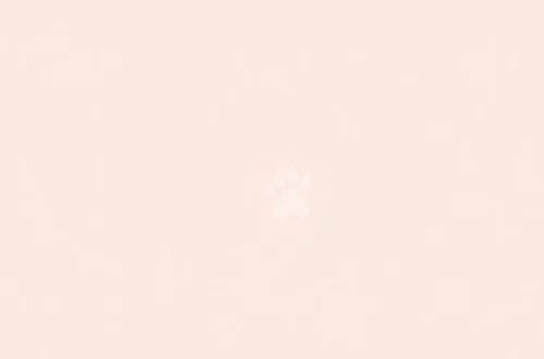 고양이 건강검진, 우리 아이에게 맞는 병원 찾기 48 example 73